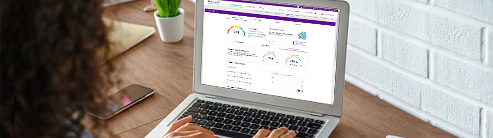 Lady with Laptop and Desk